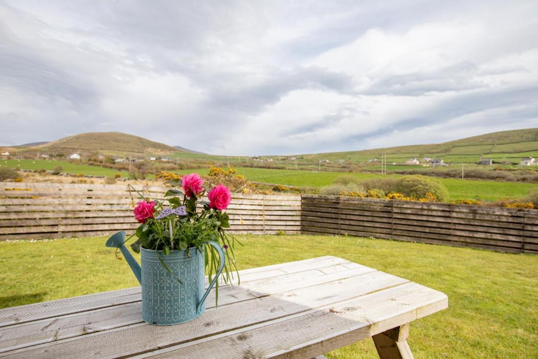 Cois Chnoic Villa Dingle Eksteriør bilde